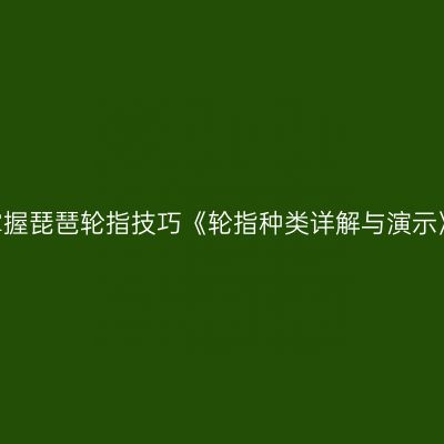 掌握琵琶轮指技巧《轮指种类详解与演示》