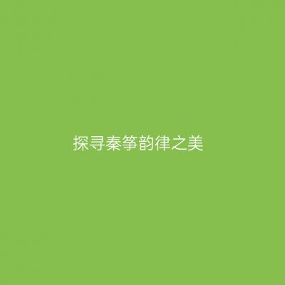 探寻秦筝韵律之美