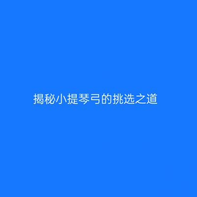 揭秘小提琴弓的挑选之道