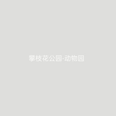 攀枝花公园-动物园