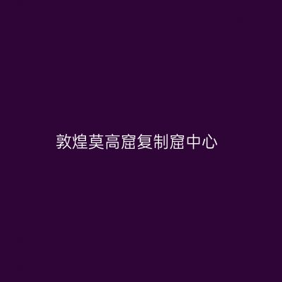 敦煌莫高窟复制窟中心