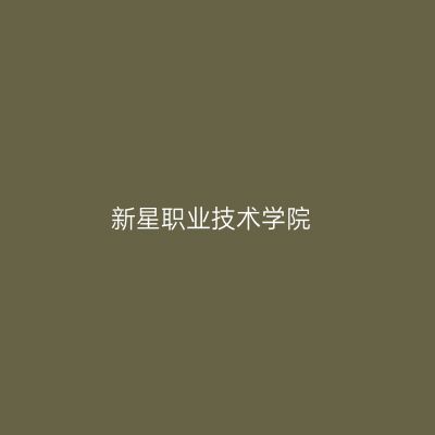 新星职业技术学院
