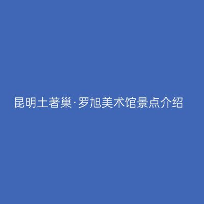 昆明土著巢·罗旭美术馆景点介绍