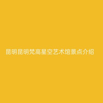 昆明昆明梵高星空艺术馆景点介绍