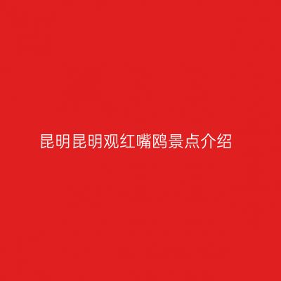 昆明昆明观红嘴鸥景点介绍