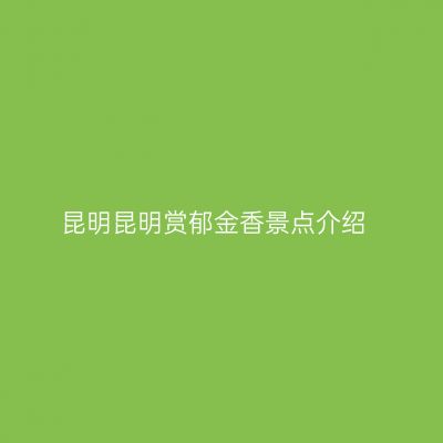 昆明昆明赏郁金香景点介绍