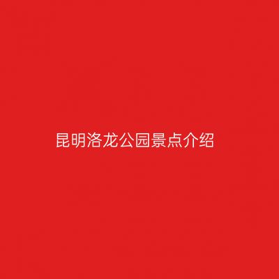 昆明洛龙公园景点介绍