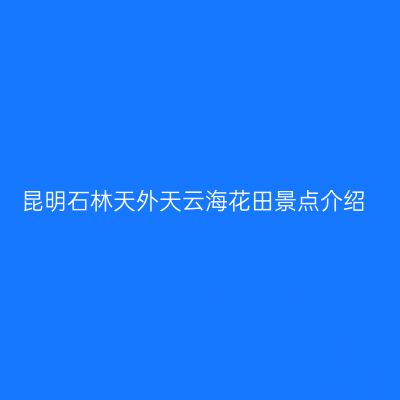 昆明石林天外天云海花田景点介绍