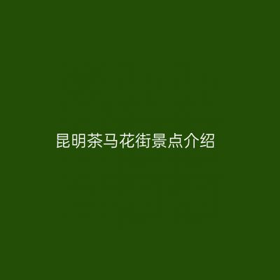 昆明茶马花街景点介绍