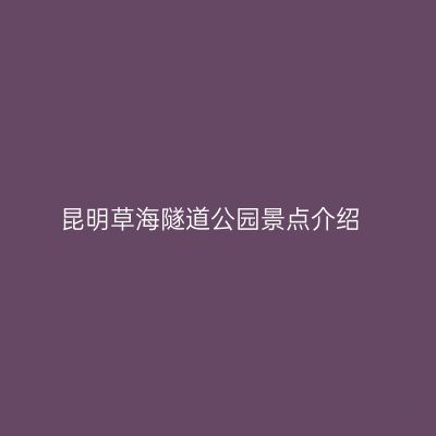 昆明草海隧道公园景点介绍