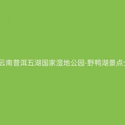 普洱云南普洱五湖国家湿地公园-野鸭湖景点介绍