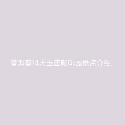 普洱普洱天玉庄咖啡园景点介绍