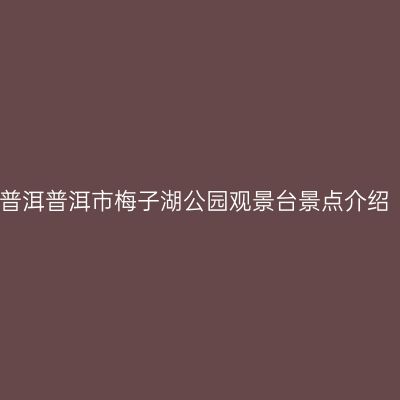 普洱普洱市梅子湖公园观景台景点介绍