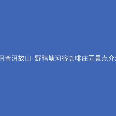 普洱普洱故山·野鸭塘河谷咖啡庄园景点介绍