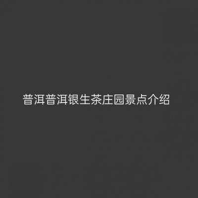 普洱普洱银生茶庄园景点介绍