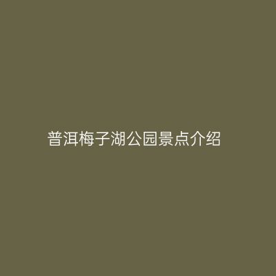 普洱梅子湖公园景点介绍