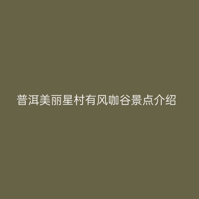 普洱美丽星村有风咖谷景点介绍