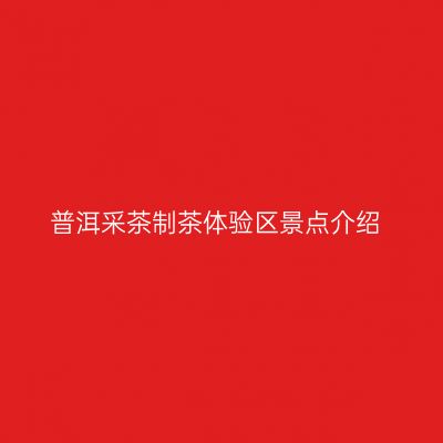 普洱采茶制茶体验区景点介绍