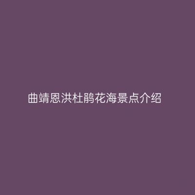 曲靖恩洪杜鹃花海景点介绍
