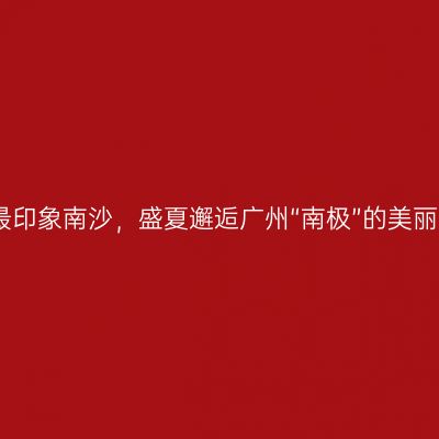 最印象南沙，盛夏邂逅广州“南极”的美丽