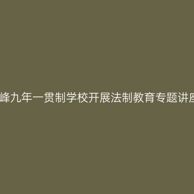 望峰九年一贯制学校开展法制教育专题讲座
