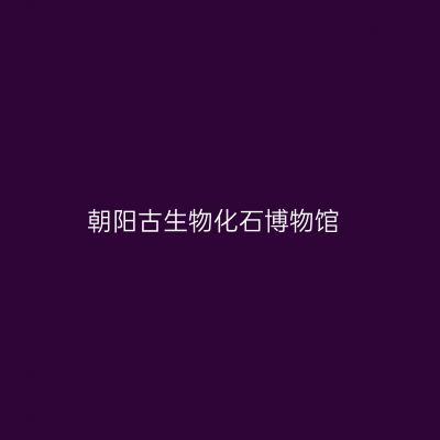 朝阳古生物化石博物馆