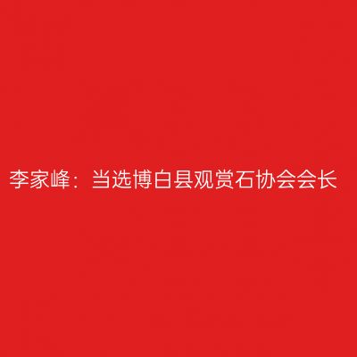 李家峰：当选博白县观赏石协会会长