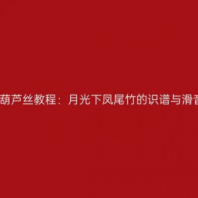 杨捌伍葫芦丝教程：月光下凤尾竹的识谱与滑音技巧