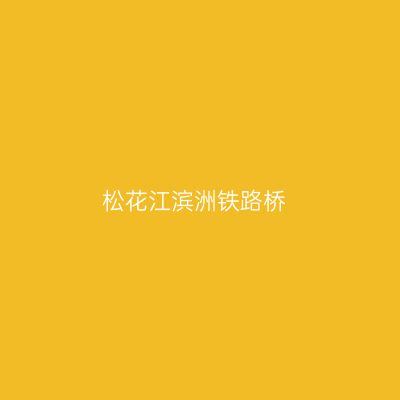 松花江滨洲铁路桥