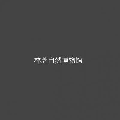 林芝自然博物馆