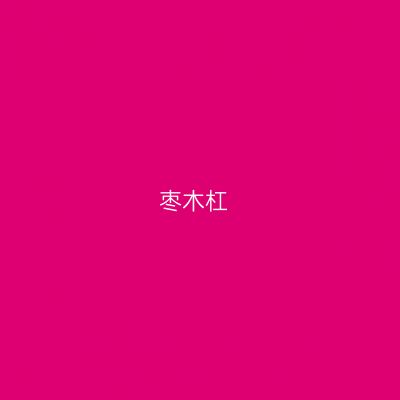 枣木杠