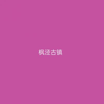枫泾古镇
