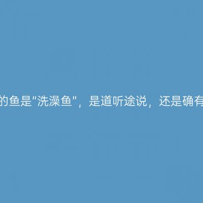 查干湖的鱼是“洗澡鱼”，是道听途说，还是确有实情？