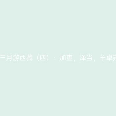 桃花三月游西藏（四）：加查，泽当，羊卓雍错