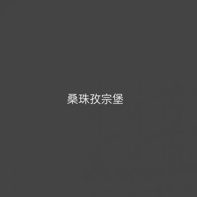 桑珠孜宗堡