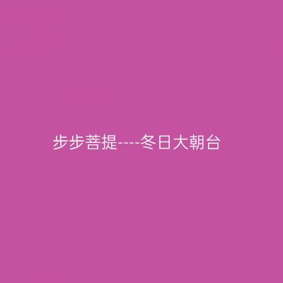 步步菩提----冬日大朝台