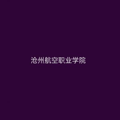 沧州航空职业学院