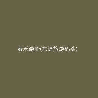 泰禾游船(东堤旅游码头)