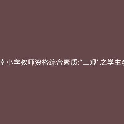 海南小学教师资格综合素质:“三观”之学生观