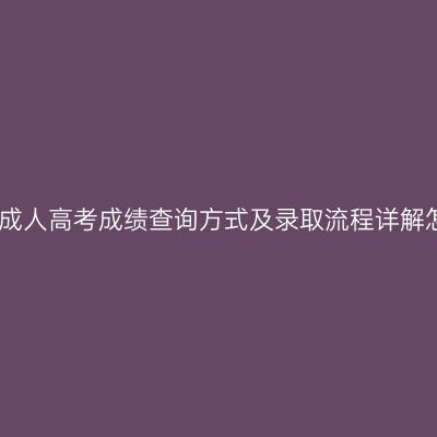 海南省成人高考成绩查询方式及录取流程详解怎么查