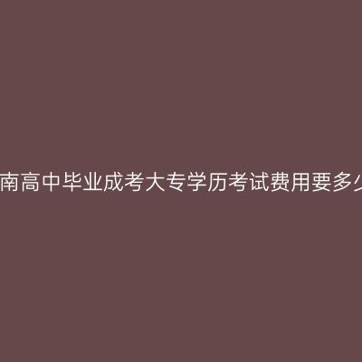 海南高中毕业成考大专学历考试费用要多少