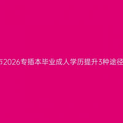 海口市2026专插本毕业成人学历提升3种途径解析