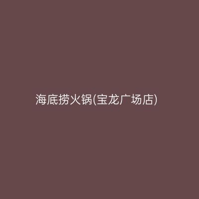 海底捞火锅(宝龙广场店)