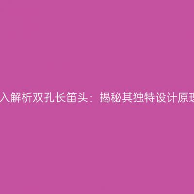 深入解析双孔长笛头：揭秘其独特设计原理
