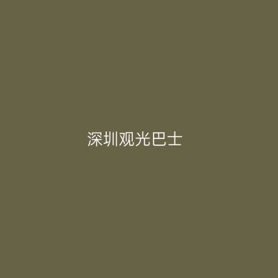 深圳观光巴士