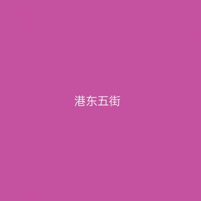 港东五街