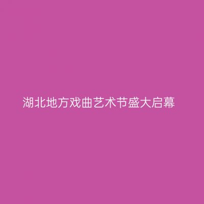 湖北地方戏曲艺术节盛大启幕