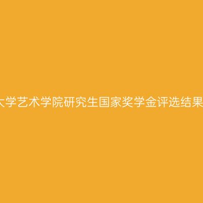 湖南大学艺术学院研究生国家奖学金评选结果公布