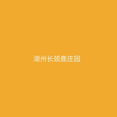 湖州长颈鹿庄园