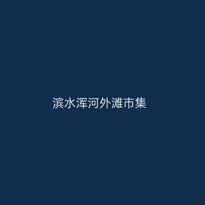 滨水浑河外滩市集